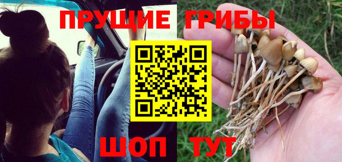 Псилоцибиновые грибы MAGIC MUSHROOMS Усть-Джегута