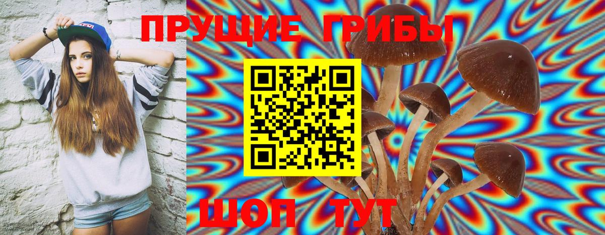 Псилоцибиновые грибы мицелий  Вход с VPN  Усть-Джегута 